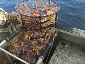 Crabs_Jamaal