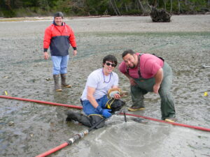 Dave-Johns-Justin-Johns-Daniel-Kunts-geoducks-island 1