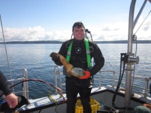 Davey-whitener-geoduck
